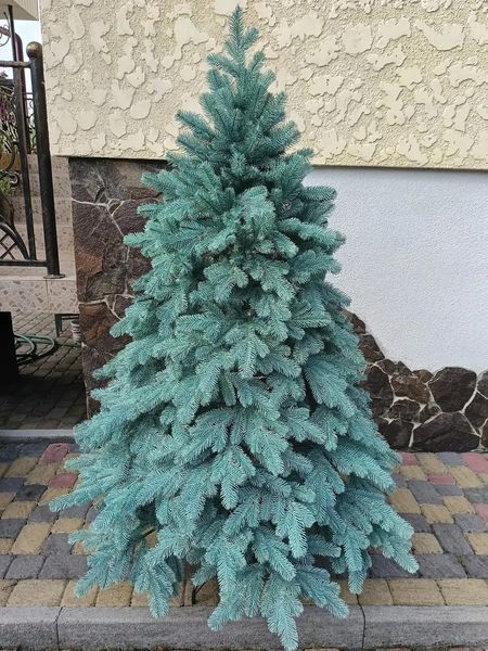 Ялинка лита Ковалівська 2.5м, блакитна 2301 фото
